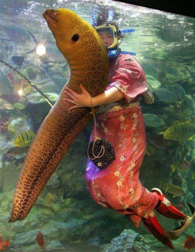 Daily Picdump