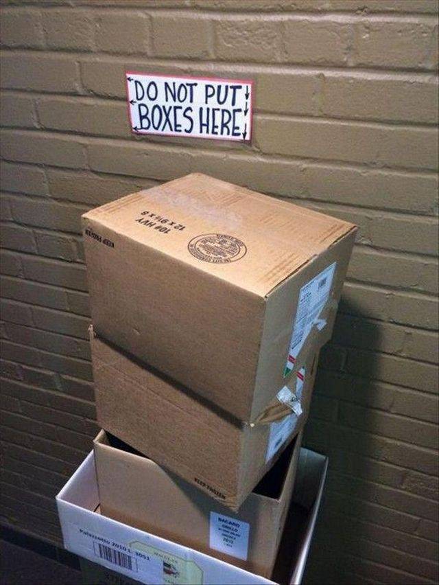 Content Image