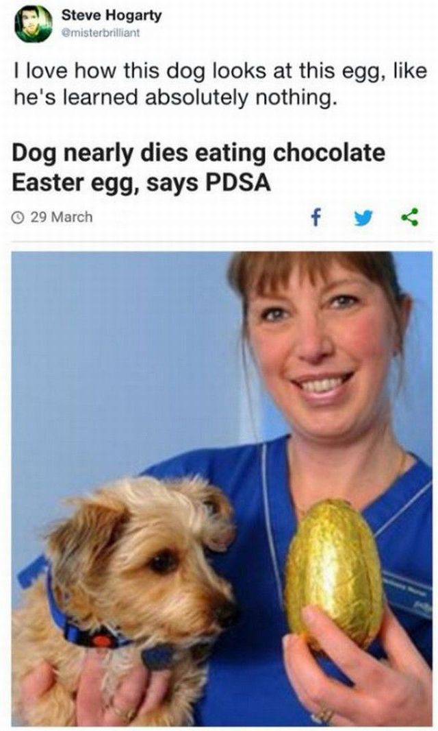 Content Image