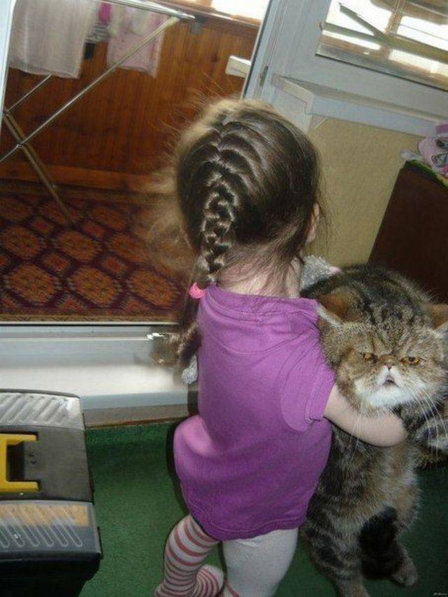 Content Image