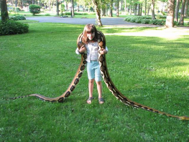 Content Image