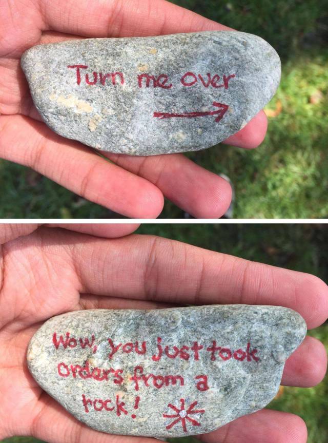 Content Image