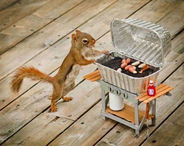 Daily Picdump