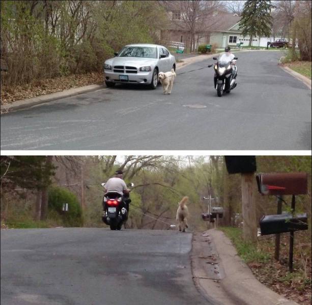 Daily Picdump