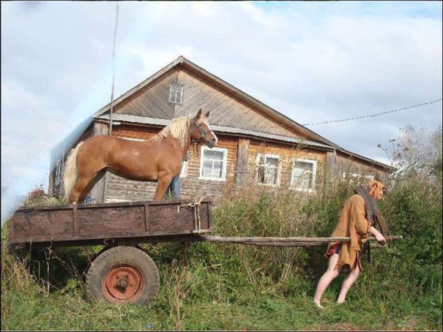 Content Image