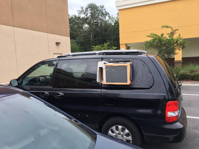 Morning Picdump