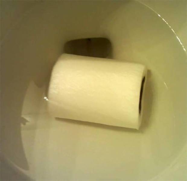 Content Image