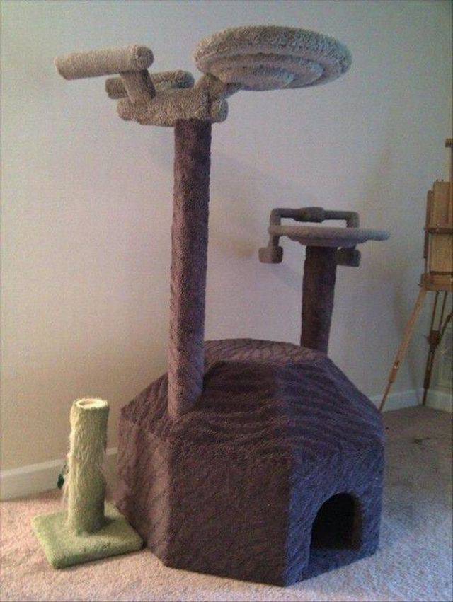 Content Image