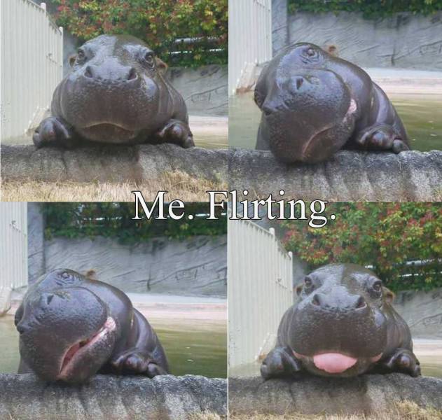 Content Image