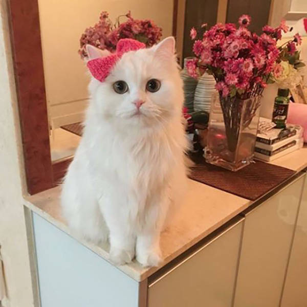 Morning Picdump