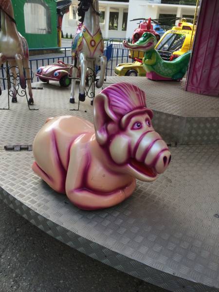 Morning Picdump