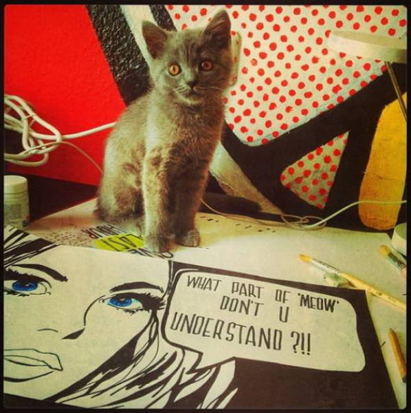Morning Picdump