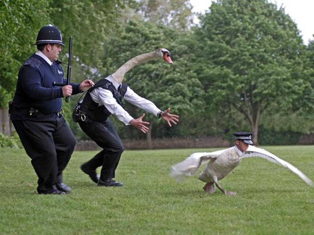 Daily Picdump