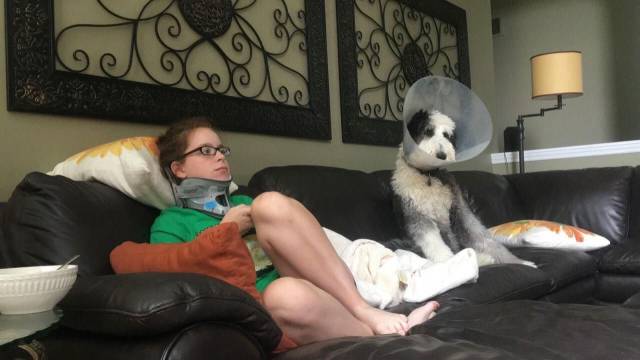 Daily Picdump