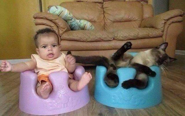 Content Image
