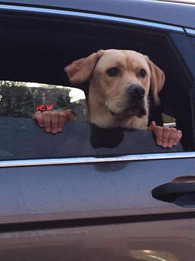 Content Image