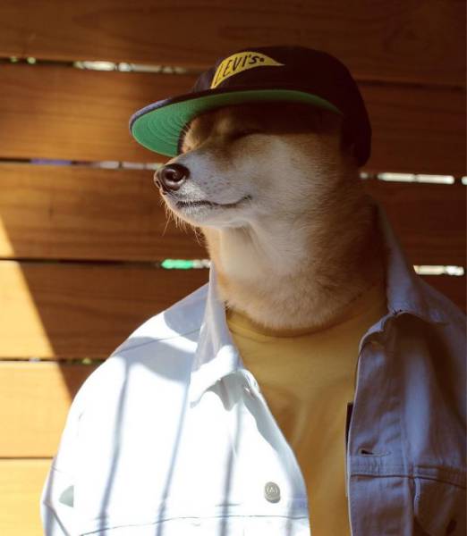 Funny Picdump