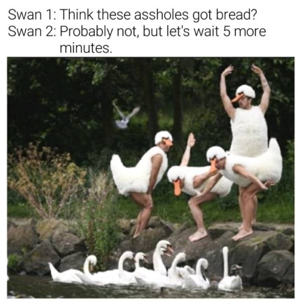 Funny Picdump