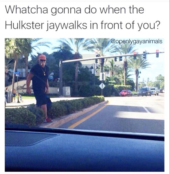 Content Image
