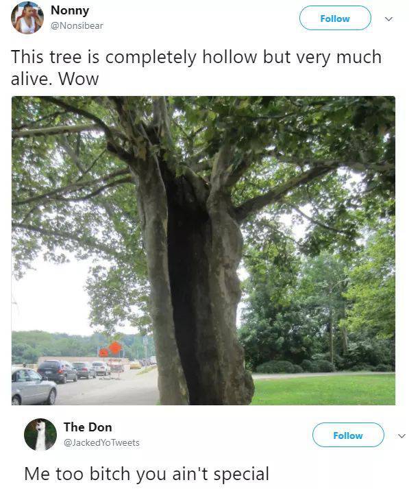 Content Image