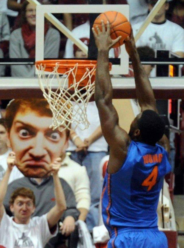 Daily Picdump