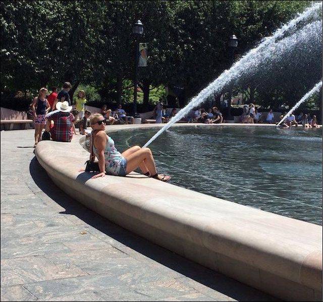Daily Picdump