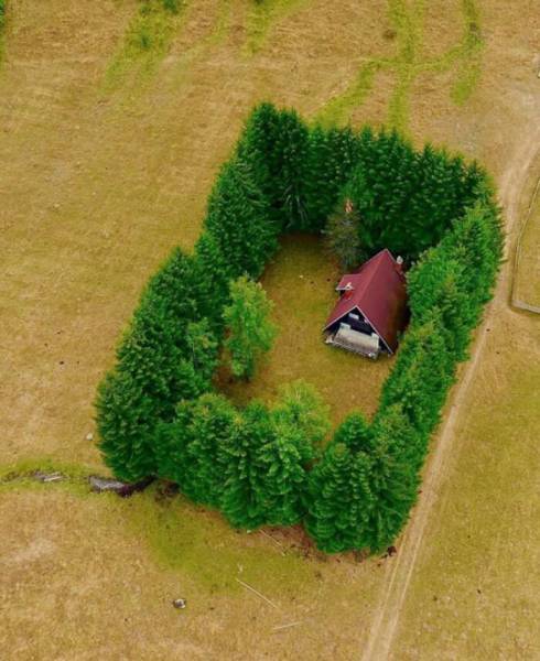 Daily Picdump [WEEKEND EDITION]