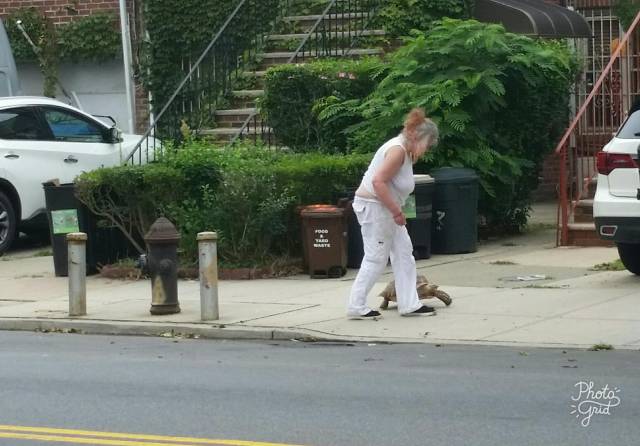 Daily Picdump