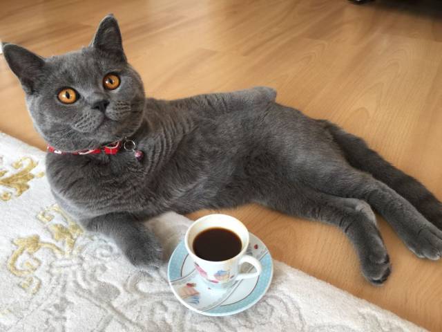 Daily Picdump