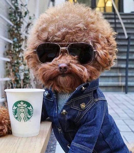 Daily Picdump