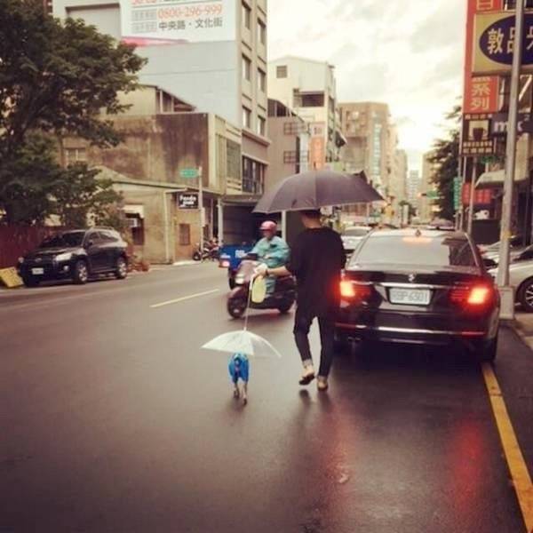 Daily Picdump