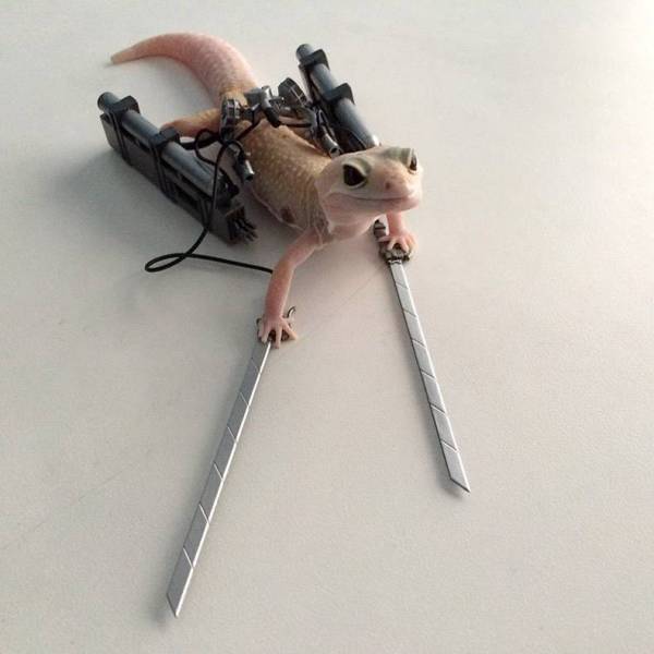 Daily Picdump