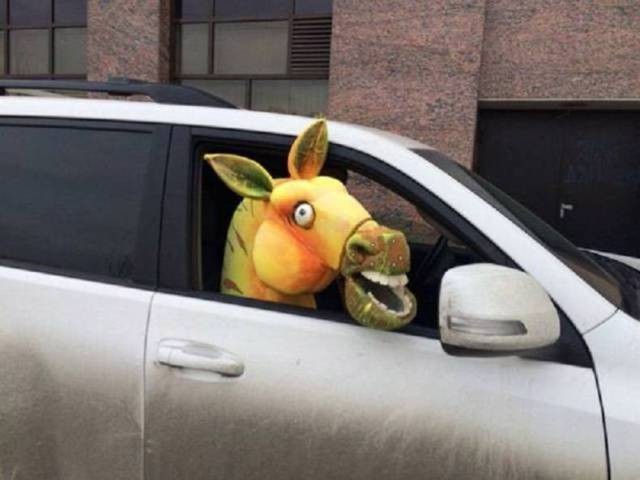 Content Image