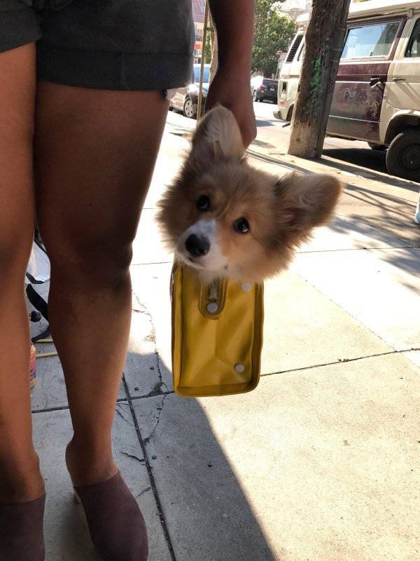 Daily Picdump