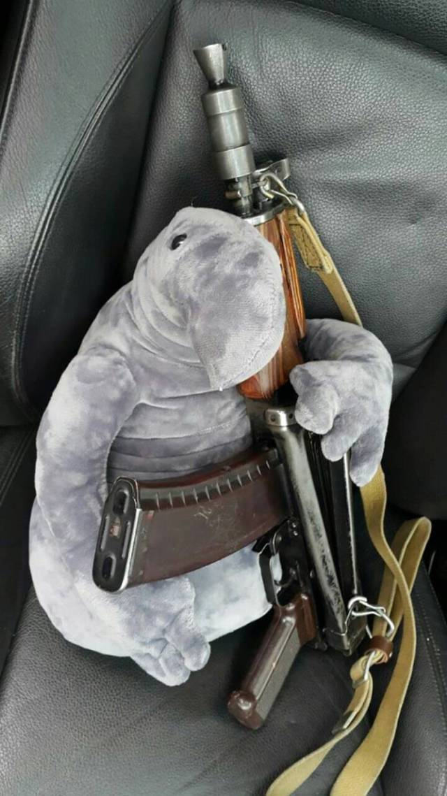 Content Image