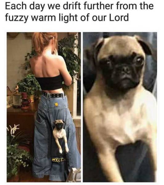 Funny Picdump