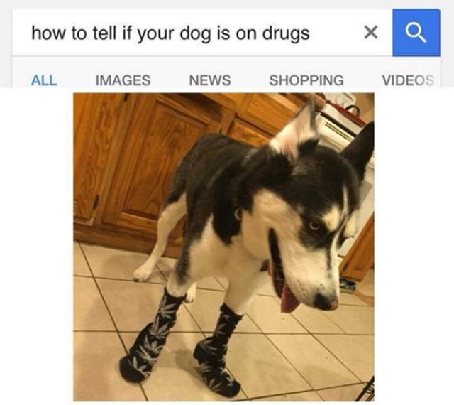 Funny Picdump