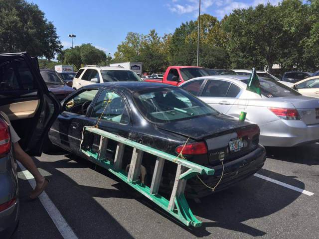 Content Image