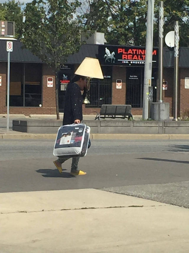 Morning Picdump