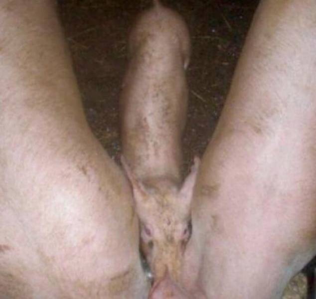 Something Is So Inappropriate Here…