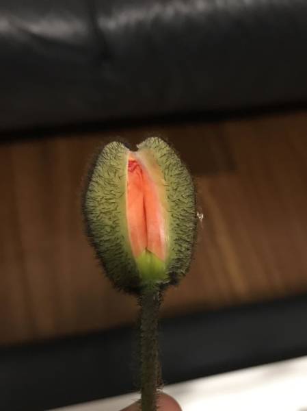 Something Is So Inappropriate Here…