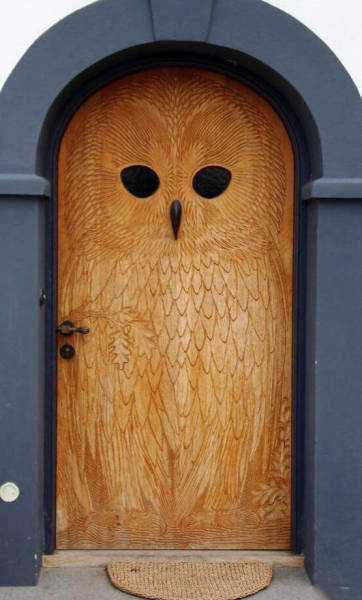 Daily Picdump