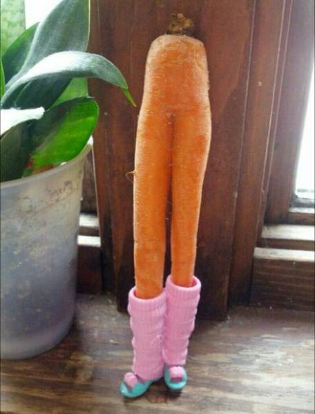 Daily Picdump