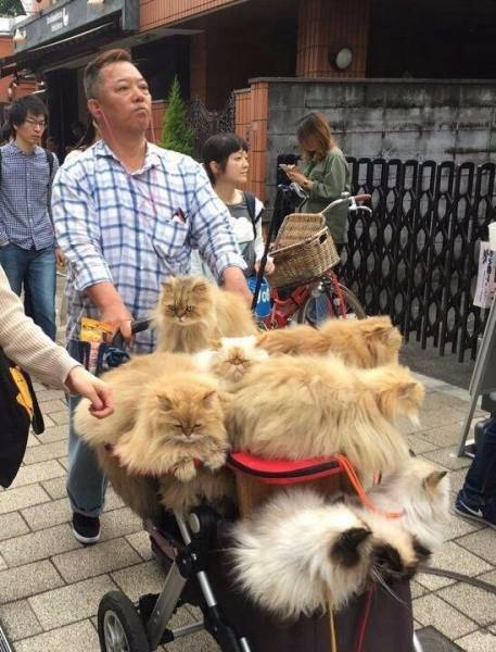 Daily Picdump