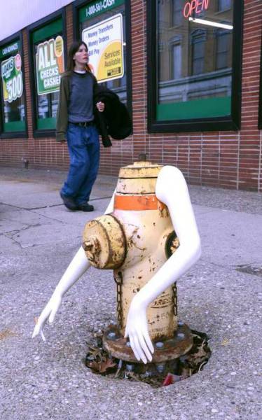 Daily Picdump