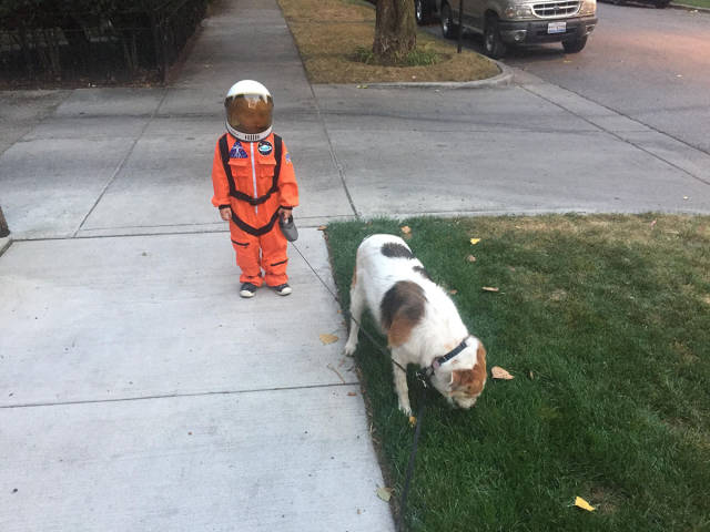 Content Image