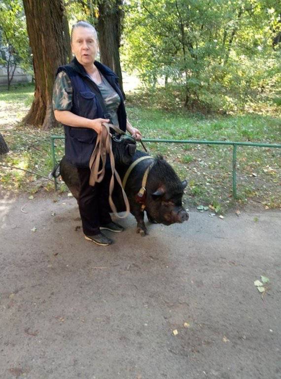 Daily Picdump