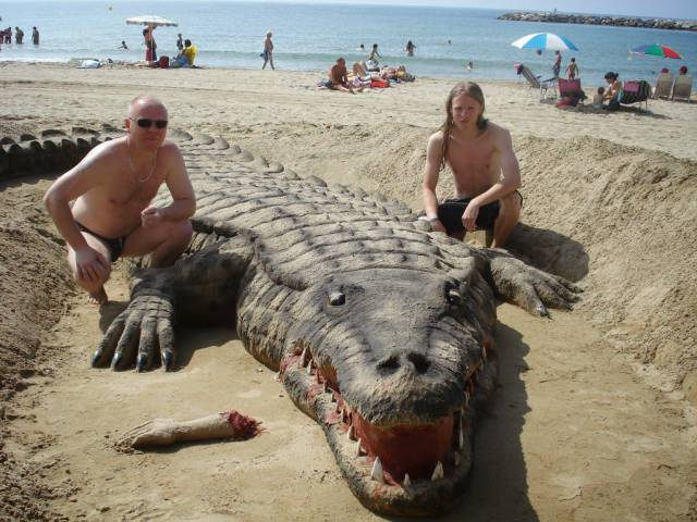 Daily Picdump