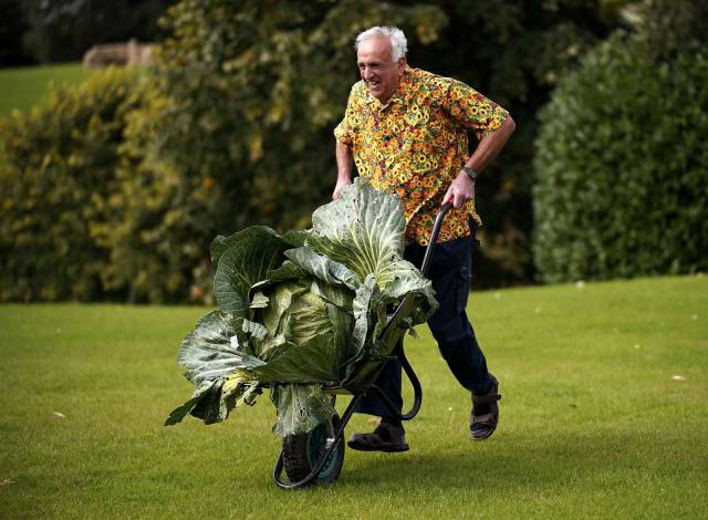 Content Image