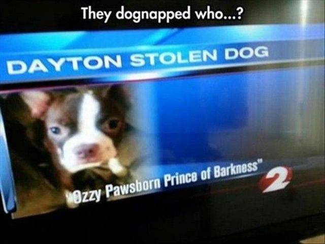 Daily Picdump